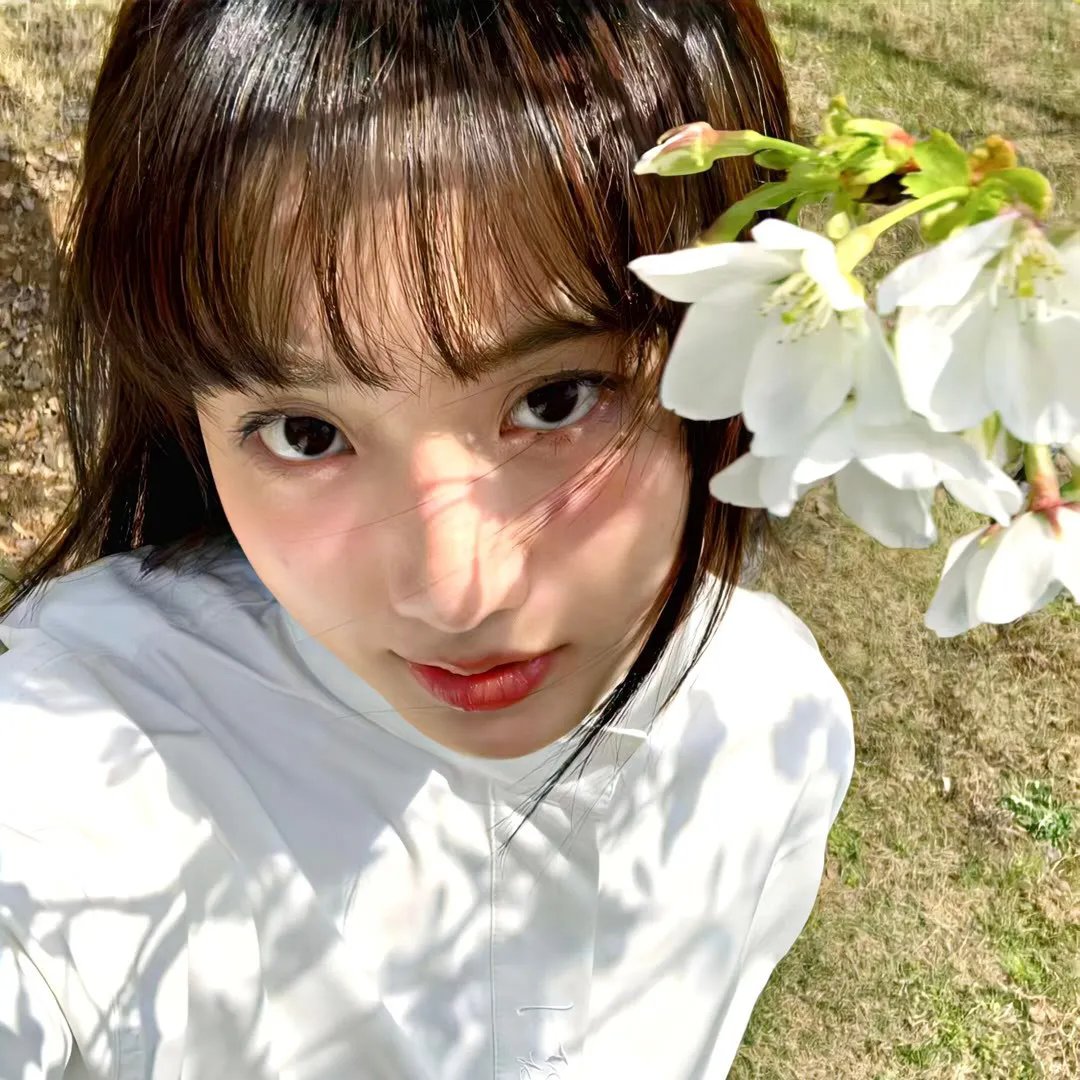 双世美姬
