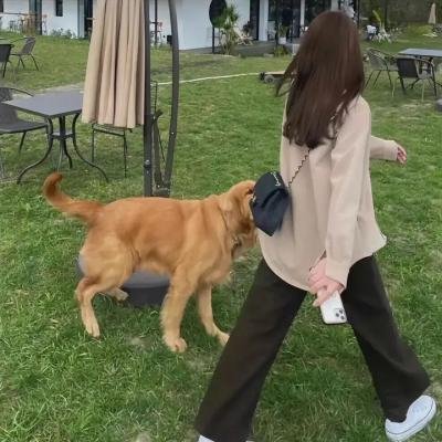 温柔安静的女人们